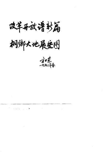 1993-改革开放在桐乡  1979-1991.pdf电子版_浙江省志预览图3