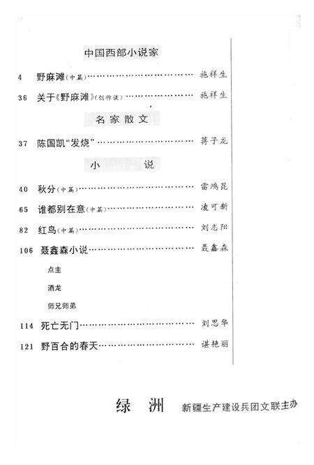 新疆绿洲1997年第04期.pdf电子版_新疆维吾尔族自治区志预览图3