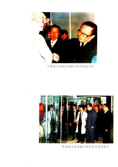 1994-椒江市对外经济贸易志.pdf电子版_浙江省志预览图3