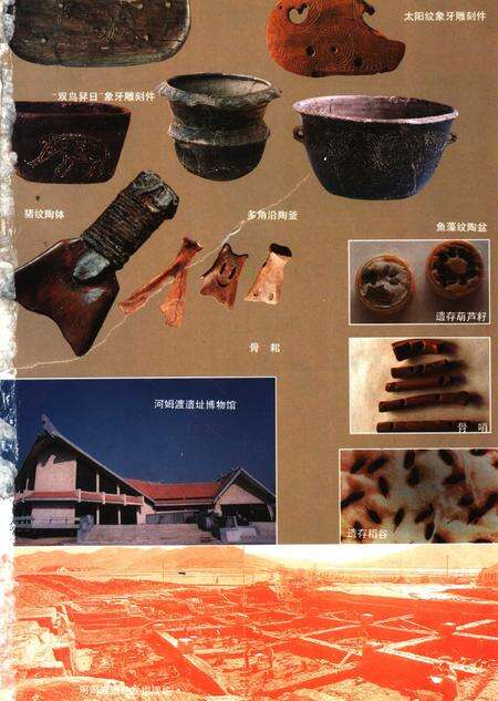 1995-宁波市志  下.pdf电子版_浙江省志预览图3