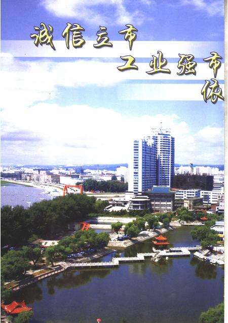 2006版延吉统计年鉴  2006  总第16期.pdf电子版_吉林省志预览图3