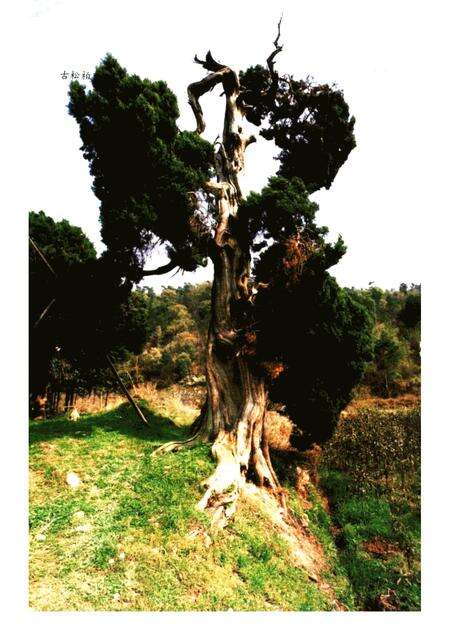 2005-宁海名人.pdf电子版_浙江省志预览图3