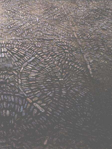 2006-永嘉风物.pdf电子版_浙江省志预览图3