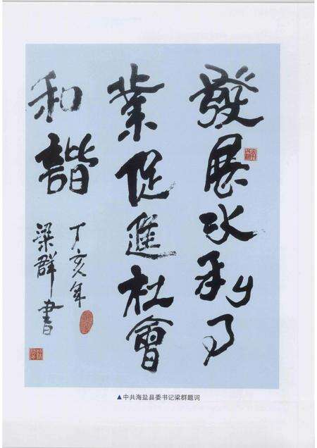 2008-海盐县水利志.pdf电子版_浙江省志预览图3