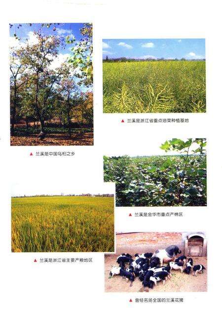 2009-兰溪农村工作简志.pdf电子版_浙江省志预览图3