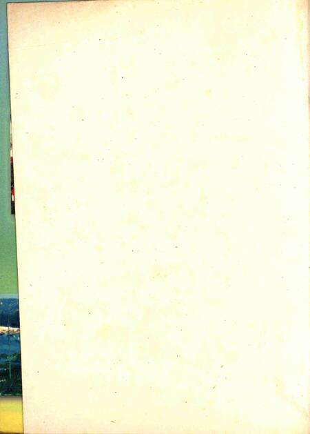 三亚大观.pdf电子版_海南省志预览图3