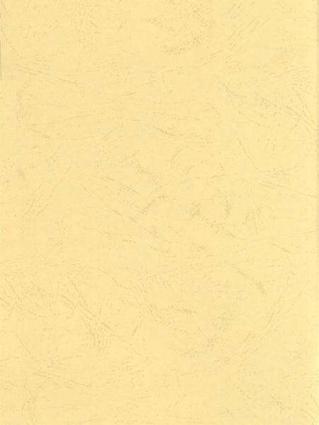 东兴市土地志.pdf电子版_广西壮族自治区志预览图3