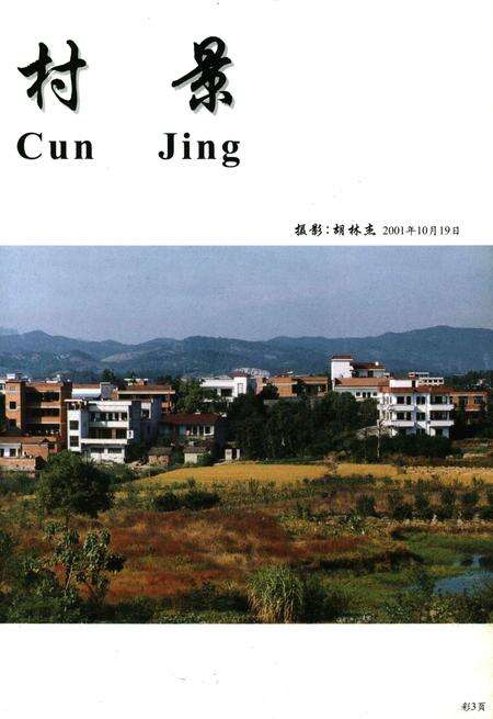 整雅志-浙江省永康市整雅村志编纂委员会 编-2001.11.pdf电子版_浙江省志预览图3