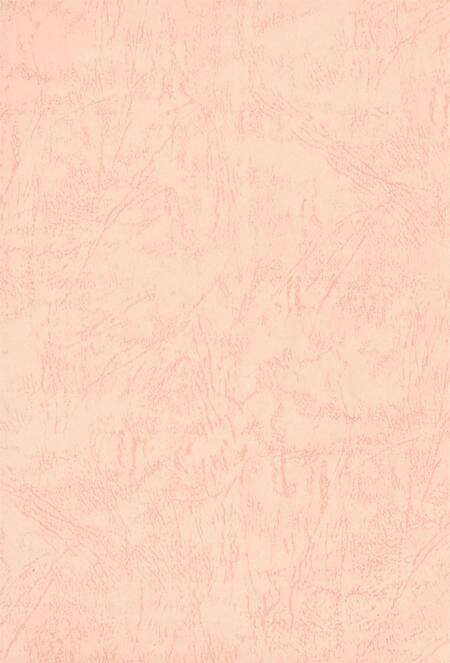 中国共产党湘潭历次代表大会资料简介.pdf电子版_湖南省志预览图3