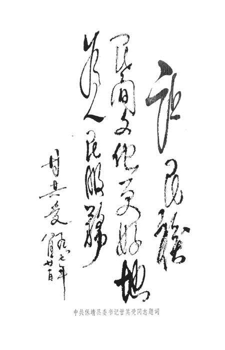 中国歌谣集成湖南卷保靖县资料本.pdf电子版_湖南省志预览图3