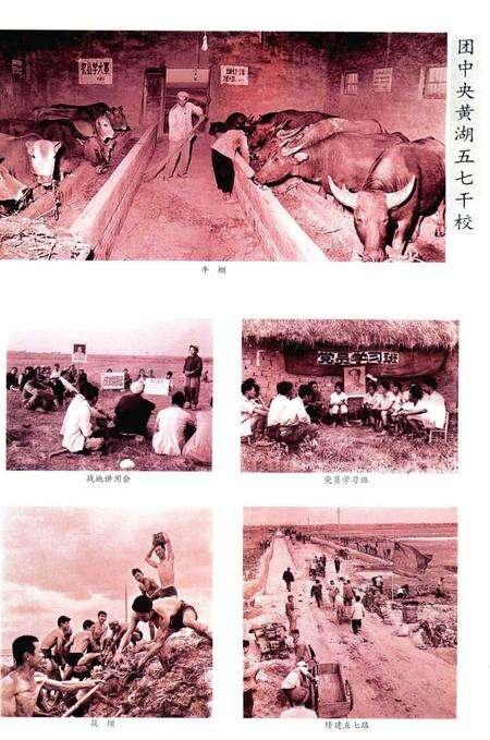 五七干校在信阳 信阳文史资料第九辑（上）.pdf电子版_河南省志预览图4