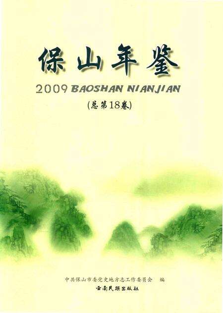 保山年鉴.2009.pdf电子版_云南省志预览图4