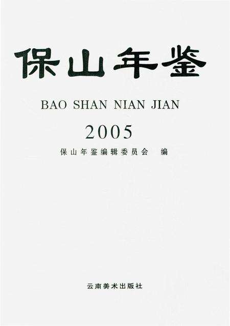 保山年鉴2005.pdf电子版_云南省志预览图4