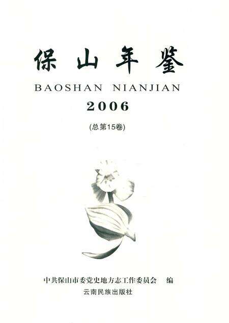 保山年鉴2006.pdf电子版_云南省志预览图4