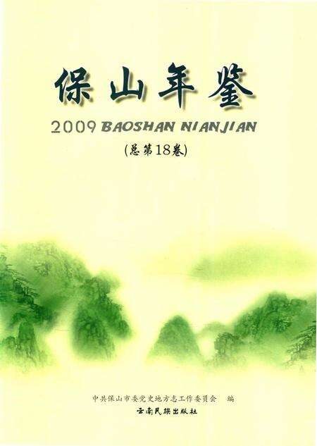 保山年鉴2009.pdf电子版_云南省志预览图4