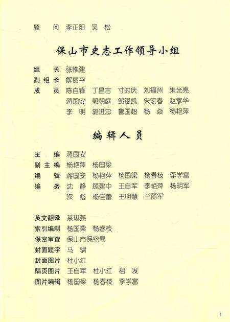 保山年鉴2011.pdf电子版_云南省志预览图4