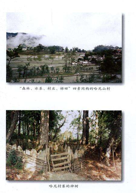 元阳文史资料选辑（第四辑）.pdf电子版_云南省志预览图4