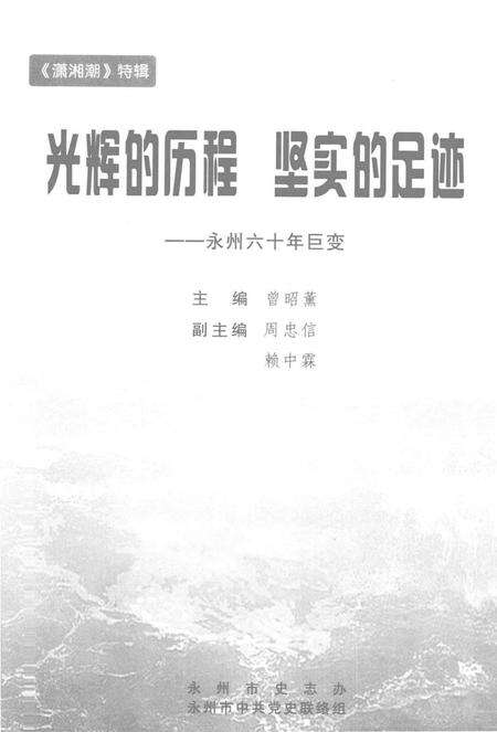 光辉的历程 坚实的足迹——永州六十年巨变.pdf电子版_湖南省志预览图4