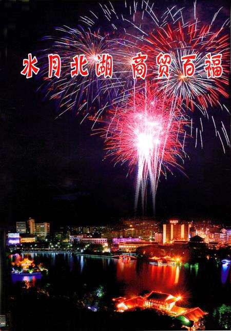 北湖年鉴 2010.pdf电子版_湖南省志预览图4