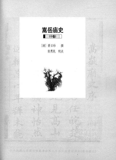 嵩岳文献丛刊（第四册）.pdf电子版_河南省志预览图4