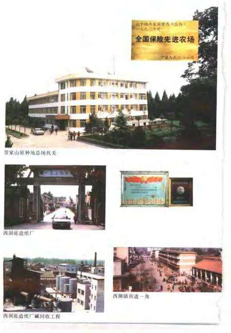 常德地区志  国营农场志.pdf电子版_湖南省志预览图4