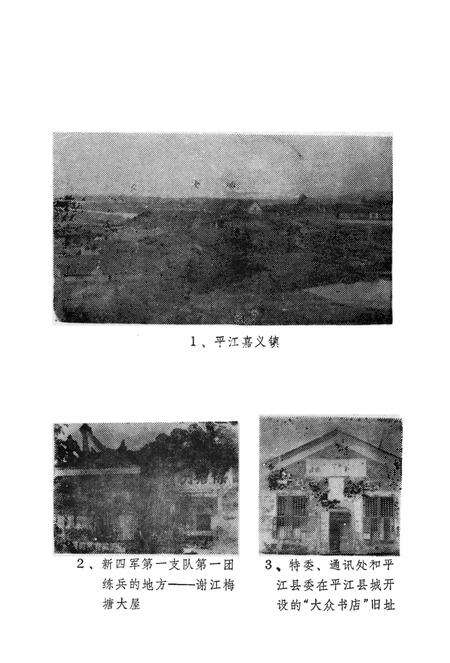 平江惨案资料汇编.pdf电子版_湖南省志预览图4