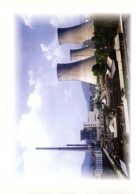 平顶山电厂志  1955-2001.pdf电子版_河南省志预览图4