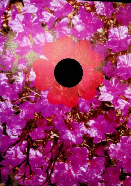 延边歌舞团60周年.pdf电子版_吉林省志预览图4