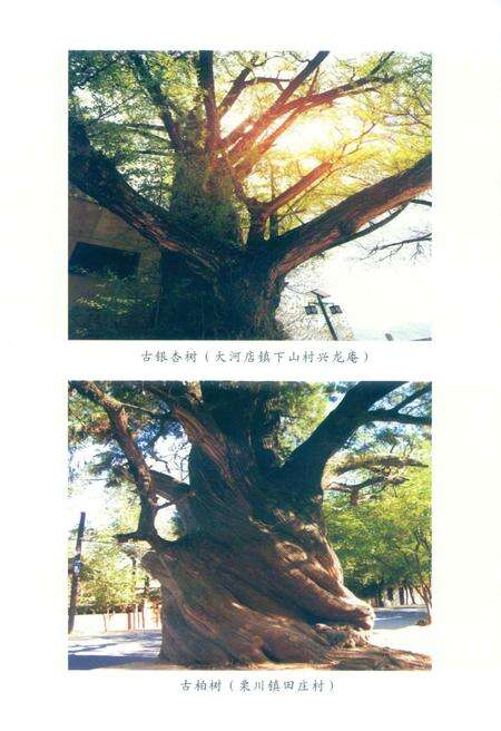 徽县文史资料第39期.pdf电子版_甘肃省志预览图4