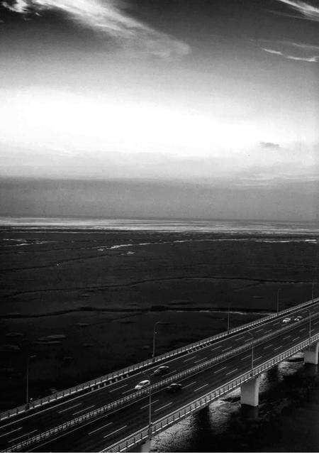 慈溪年鉴2019.pdf电子版_浙江省志预览图4