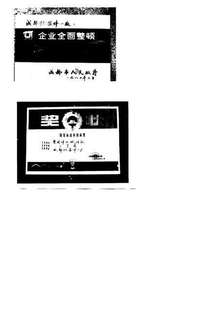 成都标准件一厂志  1966-1986.pdf电子版_四川省志预览图4