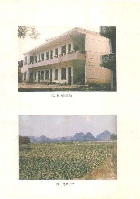 新田县财政志.pdf电子版_湖南省志预览图4