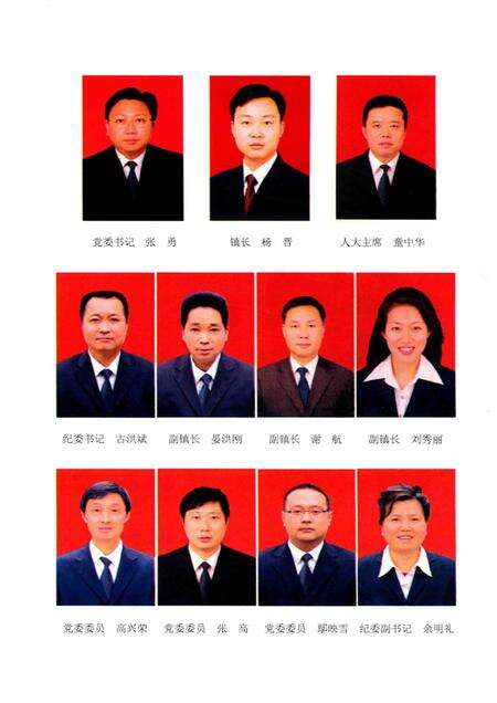 旧县镇志  1986-2005.pdf电子版_重庆市志预览图4