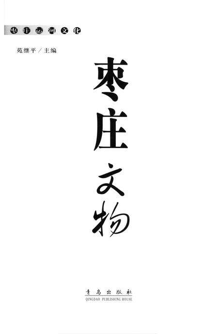 枣庄运河文化——枣庄文物.pdf电子版_山东省志预览图4