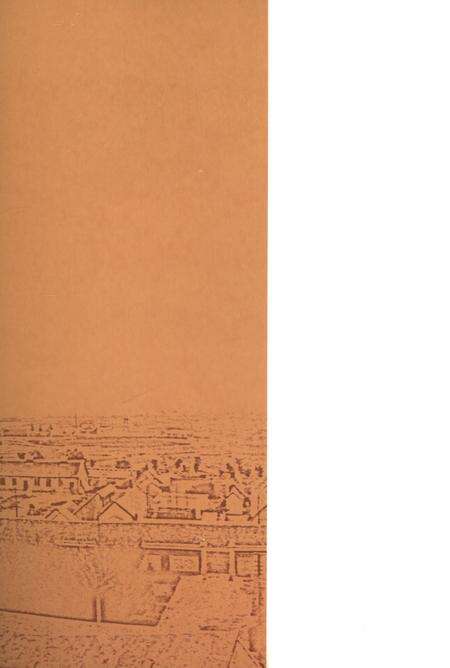 枣庄革命画史.pdf电子版_山东省志预览图4