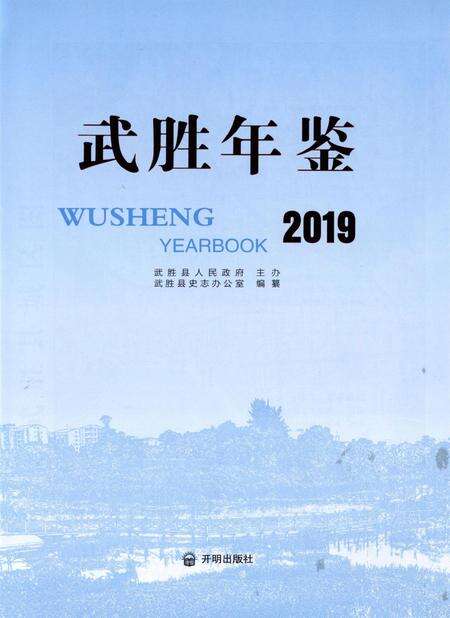 武胜年鉴（2019）.pdf电子版_四川省志预览图4