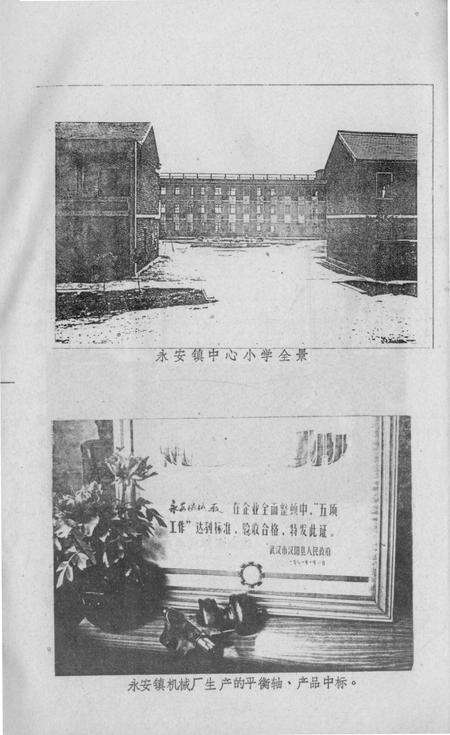 永安镇志.pdf电子版_湖北省志预览图4