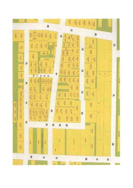沈庄村志家谱.pdf电子版_河南省志预览图4
