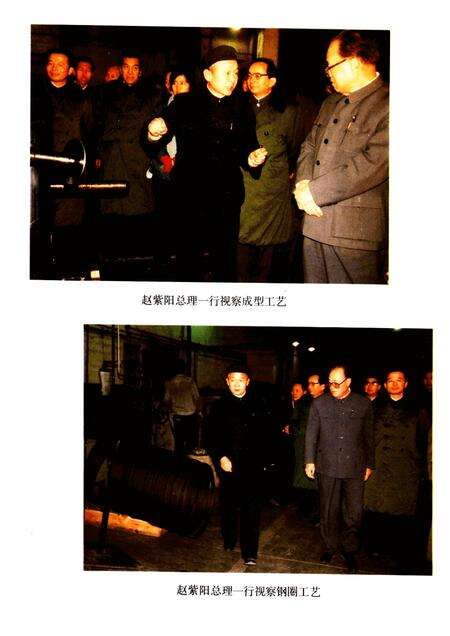 河南轮胎厂志  1965-1985.pdf电子版_河南省志预览图4