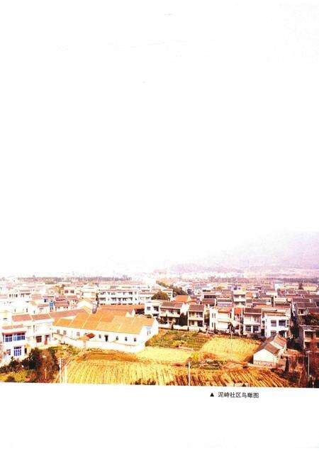 泥峙村志.pdf电子版_浙江省志预览图4