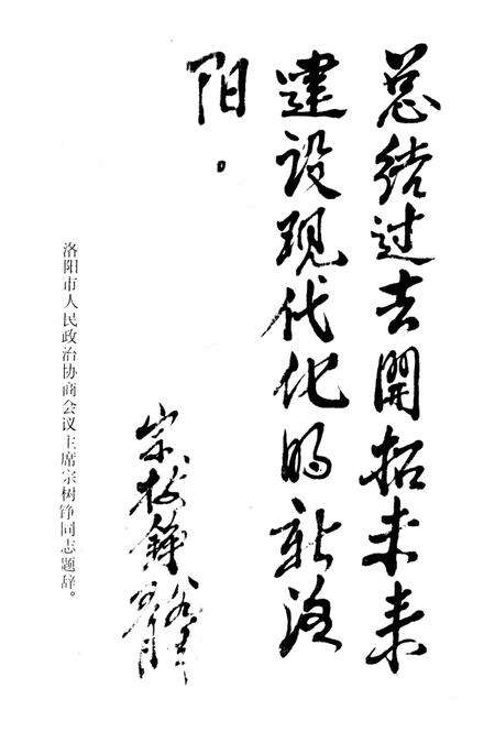 洛阳奋进的四十年.pdf电子版_河南省志预览图4