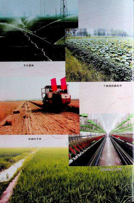 灵璧县志(1978-2007).pdf电子版_安徽省志预览图4