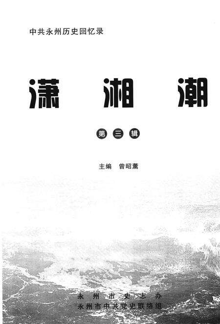 潇湘潮第三辑.pdf电子版_湖南省志预览图4