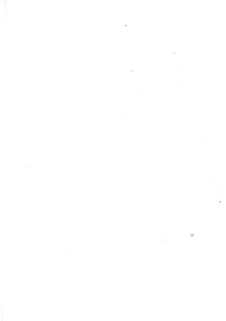 濮阳华龙区年鉴2008.pdf电子版_河南省志预览图4