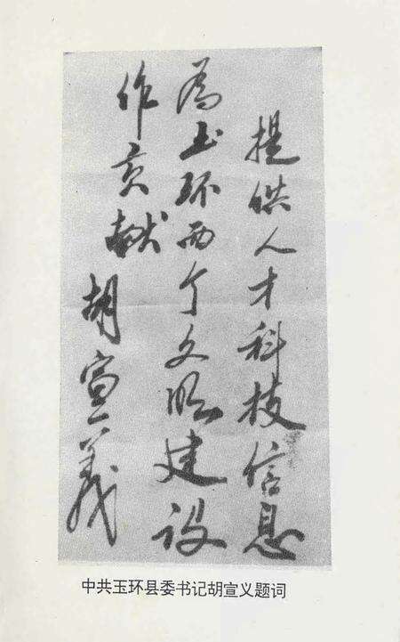 玉环文史资料 第九辑.pdf电子版_浙江省志预览图4