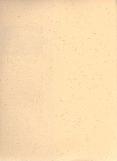 甘南文史资料 第23辑.pdf电子版_甘肃省志预览图4