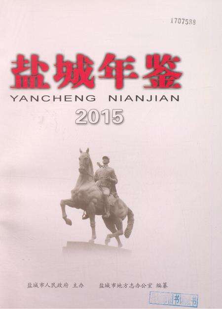 盐城年鉴 2015.pdf电子版_江苏省志预览图4