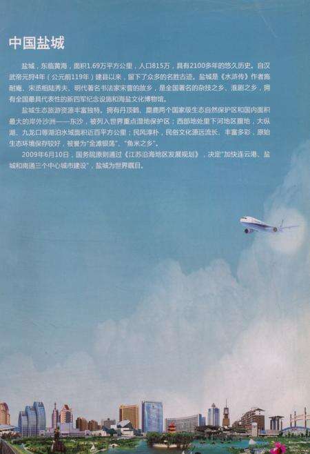 盐城统计年鉴 2009.pdf电子版_江苏省志预览图4