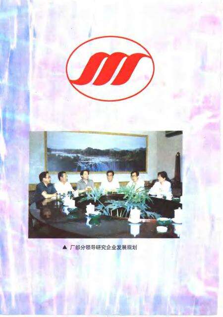 石家庄棉三厂志  1954年-1993年.pdf电子版_河北省志预览图4