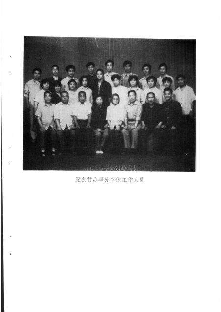 绿林村街道志.pdf电子版_河南省志预览图4